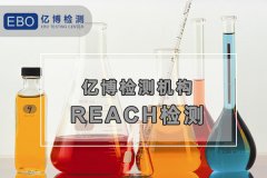 RdFCCzyCk(bio)(zhn)E